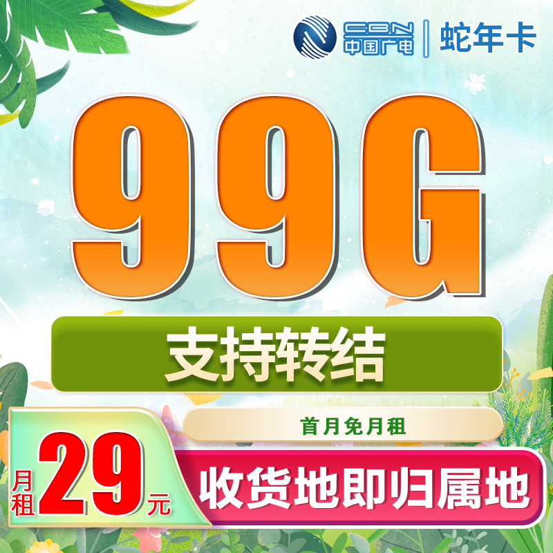 广电蛇年卡29元99G流量+可结转