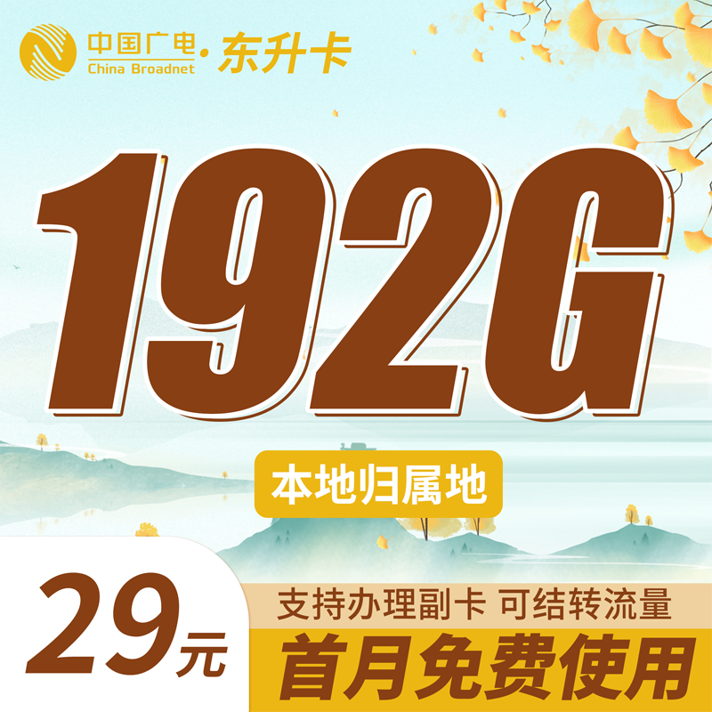 广电东升卡29元192G通用流量